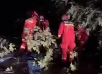 【共同关注】浙江余姚：风大雨急人员被困 消防连夜救援抢险