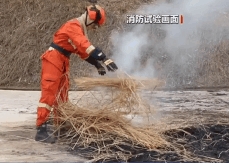 踏青、祭祀不要给山林带“火”了 消防试验：用火不慎 短时间可快速蔓延