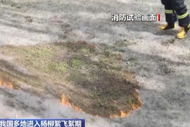 我国多地进入杨柳絮飞絮期 消防试验：飞絮瞬间点燃 持续燃烧