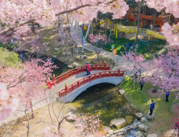 春光很美，带上安全知识出行更放心