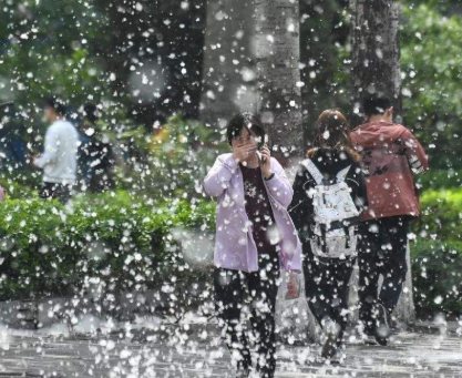 北方晴暖回归！杨柳飞絮即将上线 “防絮攻略”请查收