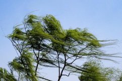 极端天气避险指南