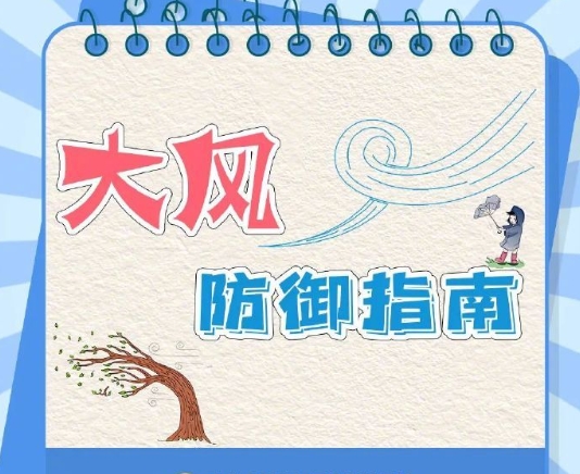 转发收藏！大风天气防御指南来了