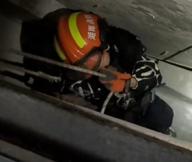 【视频】消防员从墙缝里拉出个娃