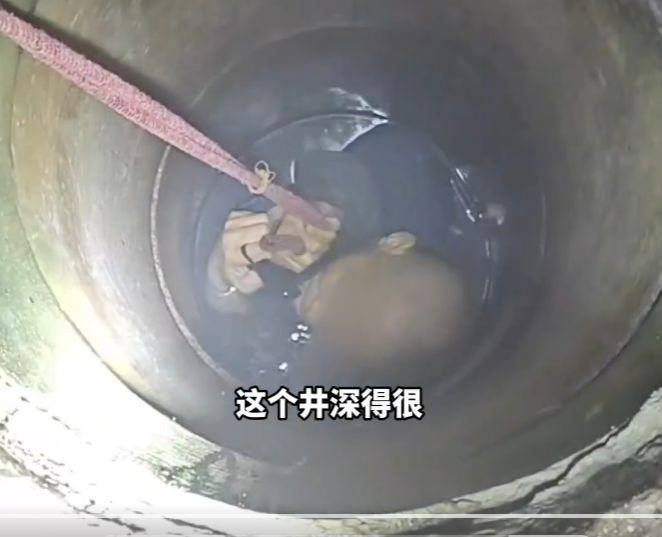 【视频】消防员冒雨倒挂入井营救坠井老人