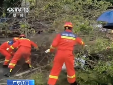 【新闻直播间】广东江门：强风吹倒大树 消防冒雨救出被砸女子