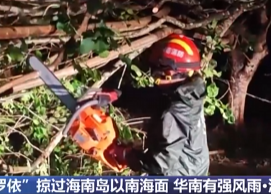 【新闻直播间】受台风“博罗依”影响 海南琼海大风致树木倒伏 消防及时清理