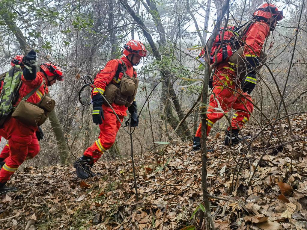 【新华社】新春走基层丨群众过节 我们守护 探访麦积山下的森林卫士