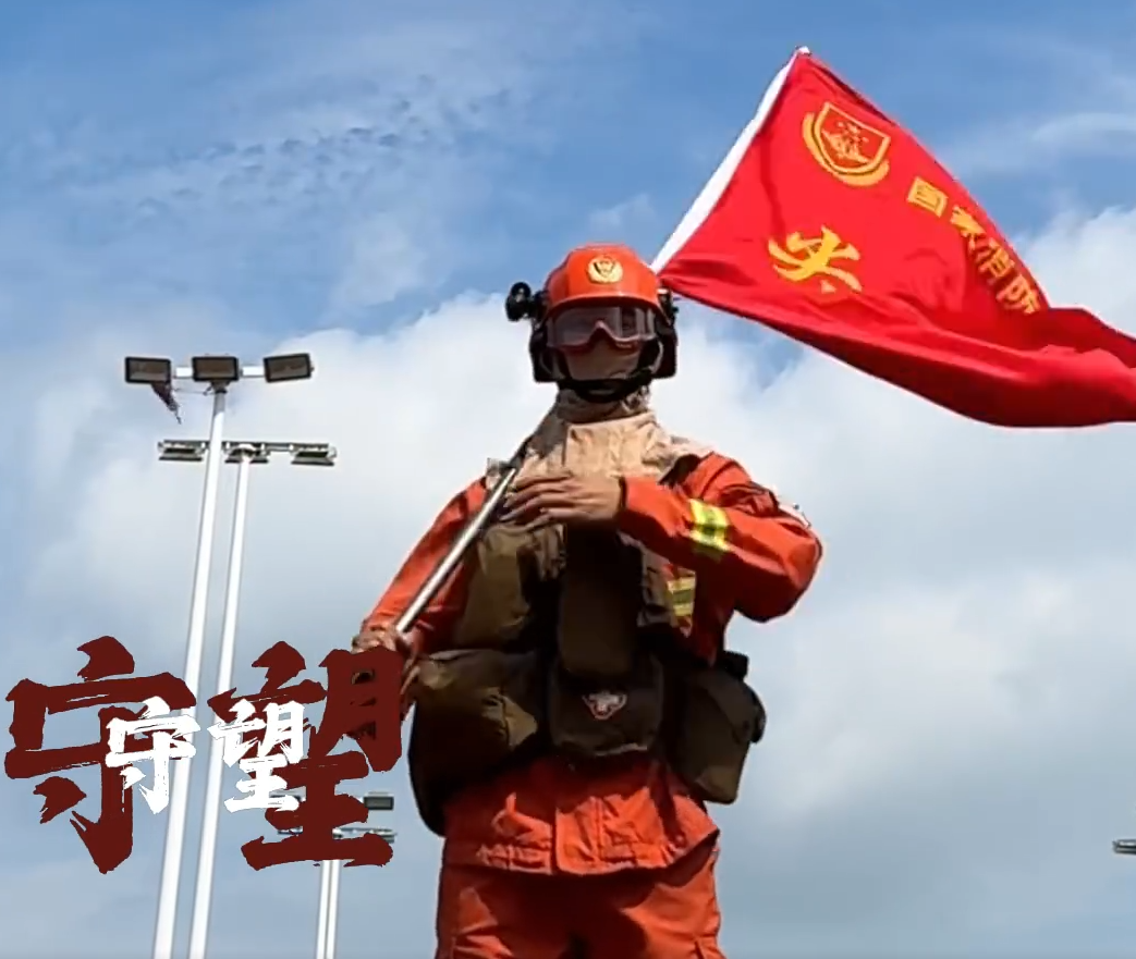 赴险