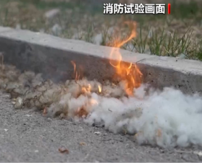杨柳絮漫天飞舞 警惕“白色火患”
