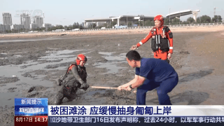 海边游玩身陷淤泥怎么办？自救指南请查收