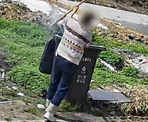 【视频】垃圾桶里火星被风吹出 引燃周边停放车辆