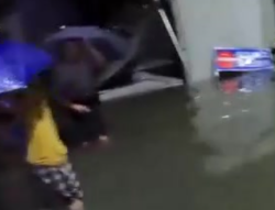 【共同关注】浙江宁波：强降雨致多地发生险情 消防紧急救人排险