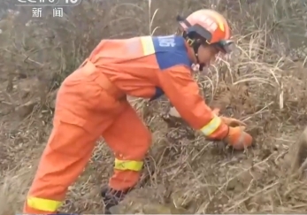 【新闻直播间】小动物“走错家门” 消防紧急救助