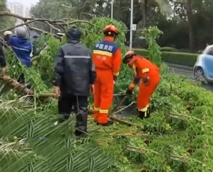 【共同关注】今年第1号台风“蝴蝶”来袭 海南三亚20米树木倒塌 消防快速清障