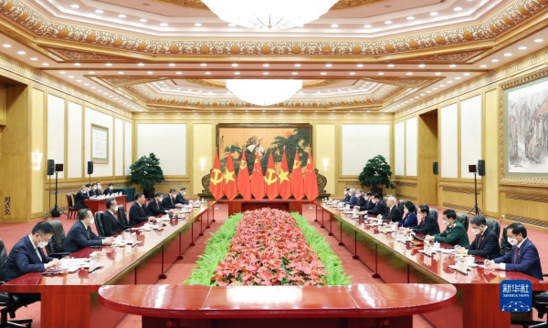 习近平同越共中央总书记阮富仲举行会谈
