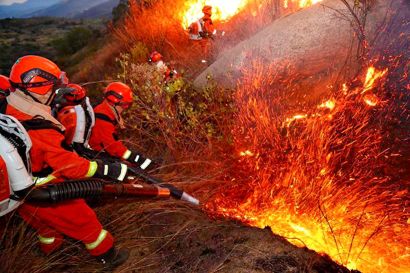 四川省森林消防总队用好“三个注重”强力推动主题教育在灭火作战一线深化